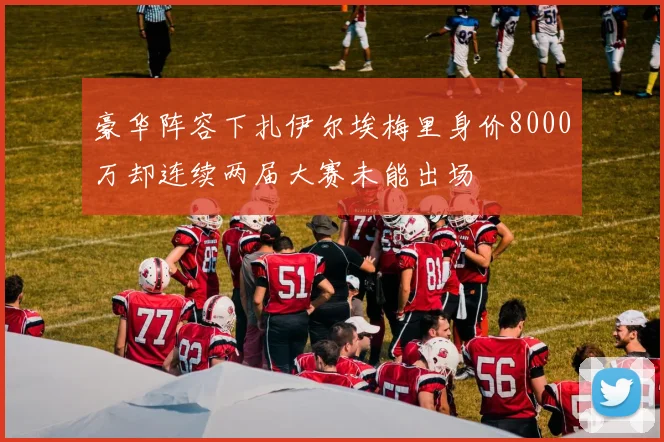 豪华阵容下扎伊尔埃梅里身价8000万却连续两届大赛未能出场