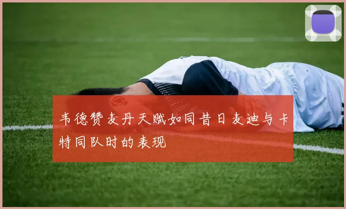 韦德赞麦丹天赋如同昔日麦迪与卡特同队时的表现